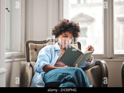 Junge Frau, die ein Buch liest, sitzt auf einem Sessel Stockfoto