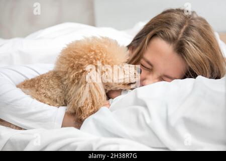 Der Hund am Morgen im Bett weckt die Herrin des Mädchens Stockfoto