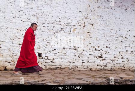 Thimphu/ Bhutan - 28. Februar 2016: Junger buddhistischer Mönch in seiner traditionellen roten Kleidung auf dem Hintergrund der Steinwand in weiß in der gemalt Stockfoto