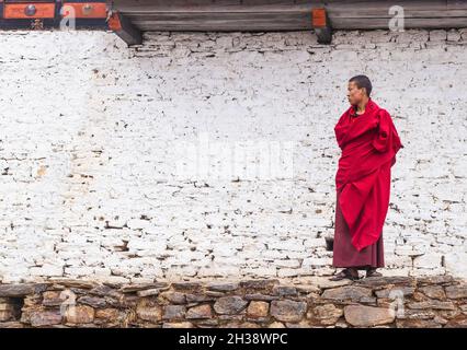 Thimphu/ Bhutan - 28. Februar 2016: Junger buddhistischer Mönch in seiner traditionellen roten Kleidung auf dem Hintergrund der Steinwand in weiß in der gemalt Stockfoto