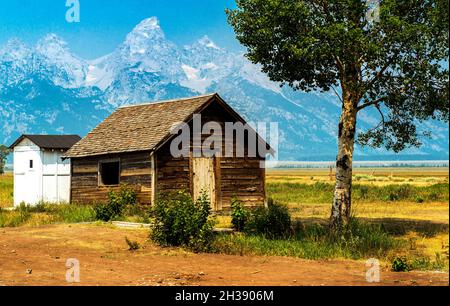 Scheune in der Mormon Row, frühe Siedlungsstrukturen, Jackson Hole Valley, Grand Teton National Park, Wyoming Stockfoto