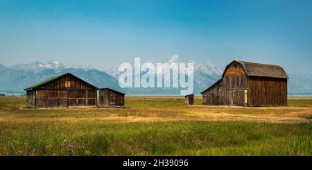 Scheune in der Mormon Row, frühe Siedlungsstrukturen, Jackson Hole Valley, Grand Teton National Park, Wyoming Stockfoto