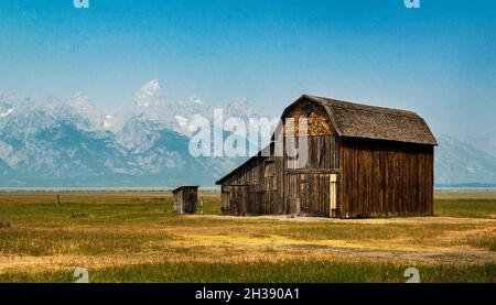 Scheune in der Mormon Row, frühe Siedlungsstrukturen, Jackson Hole Valley, Grand Teton National Park, Wyoming Stockfoto