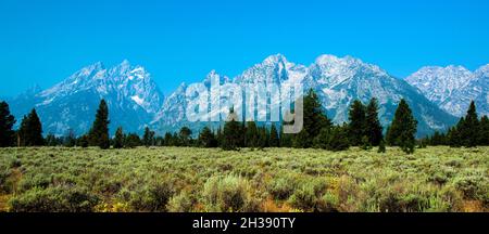 Grand Teton Bergkette, Grand Teton National Park, Wyoming Stockfoto