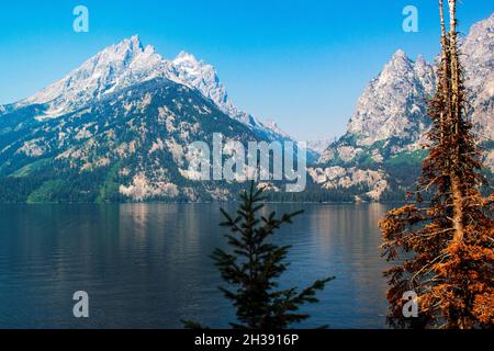 Jenny Lake wurde von Gletschern gebildet, Grand Teton National Park, Wyoming Stockfoto