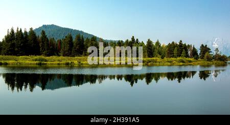 Bäume spiegeln sich im Snake River, Grand Teton National Park, Wyoming Stockfoto