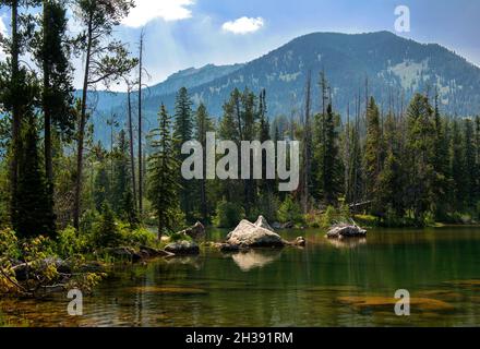 Grand Teton Range von Taggart Lake, Grand Teton National Park, Wyoming Stockfoto