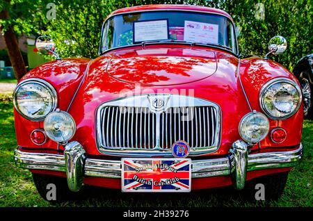 Ein 1957 MGA Coupé wird beim 31. Jährlichen British Car Festival am 24. Oktober 2021 in Fairhope, Alabama, ausgestellt. Stockfoto