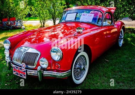 Ein 1957 MGA Coupé wird beim 31. Jährlichen British Car Festival am 24. Oktober 2021 in Fairhope, Alabama, ausgestellt. Stockfoto