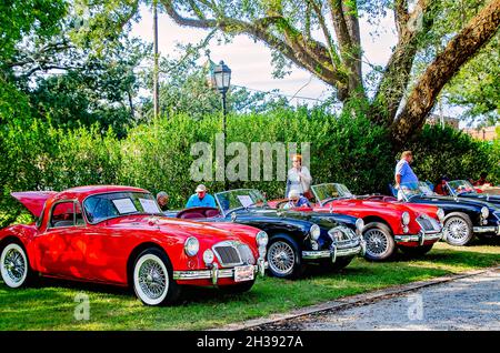 Beim 31. British Car Festival am 24. Oktober 2021 in Fairhope, Alabama, wird ein 1957 MGA Coupé zusammen mit anderen Vintage MGAs ausgestellt. Stockfoto