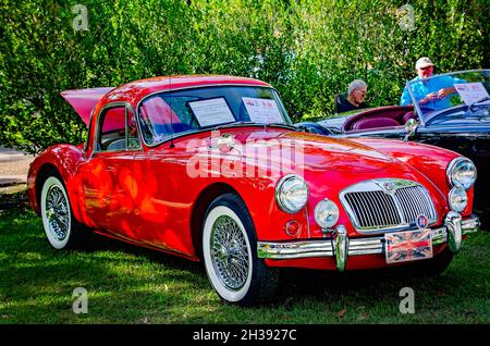 Ein 1957 MGA Coupé wird beim 31. Jährlichen British Car Festival am 24. Oktober 2021 in Fairhope, Alabama, ausgestellt. Stockfoto