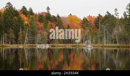 Herbstfärbung auf Nierenteich, Baxter State Park, Maine Stockfoto