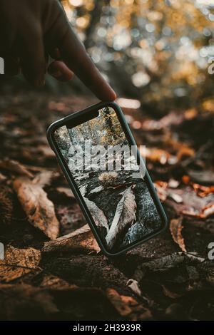 Vertikale Aufnahme eines Smartphones mit eingeschaltetem, auf den Boden gestepptem Fotoapparat und Einfangen der Natur. Stockfoto