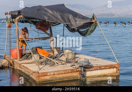 Saranda, Albanien - 19. September 2018: Ein Mann schält Muscheln auf einem primitiven Boot oder Floß auf einer Muschelfarm in Saranda, Albanien. Frische ökologische Meeresfrüchte. Stockfoto