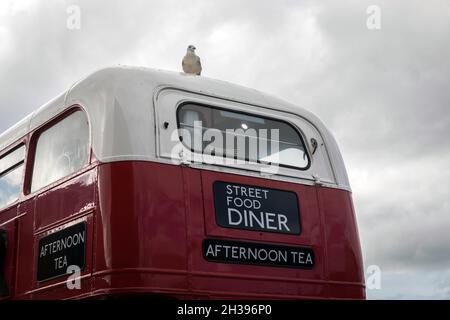 Eine Möwe sitzt auf einem Bus-Diner am Pier Head, Liverpool Stockfoto