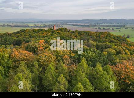 Bad Freienwalde, Deutschland. Oktober 2021. Der 28 Meter hohe Bismarckturm im Wandergebiet bei Bad Freienwalde steht zwischen herbstbunten Bäumen (Luftaufnahme mit Drohne). Der Gipfelstürmer ist der Name eines 22 Kilometer langen Wanderweges durch die Mittelgebirgslandschaft bei Bad Freienwalde. Es gibt ihn erst seit dem letzten Jahr und wurde 2021 vom Wandermagazin zum beliebtesten Wanderweg Ostdeutschlands gewählt. Quelle: Patrick Pleul/dpa-Zentralbild/dpa/Alamy Live News Stockfoto