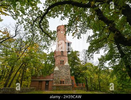 Bad Freienwalde, Deutschland. Oktober 2021. Der 28 Meter hohe Bismarckturm im Wandergebiet bei Bad Freienwalde steht zwischen herbstbunten Bäumen. Der Gipfelstürmer ist der Name eines 22 Kilometer langen Wanderweges durch die Mittelgebirgslandschaft bei Bad Freienwalde. Es gibt ihn erst seit dem letzten Jahr und wurde 2021 vom Wandermagazin zum beliebtesten Wanderweg Ostdeutschlands gewählt. Quelle: Patrick Pleul/dpa-Zentralbild/ZB/dpa/Alamy Live News Stockfoto