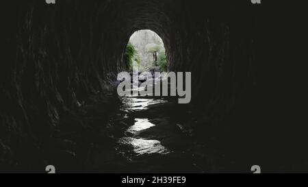 Blick vom Inneren des newnes Glühwürmentunnels zum Eingang Stockfoto