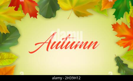 Herbstlaub aus Ahorn und Eiche mit Aufschrift Herbst auf farbigem Hintergrund. Herbst Zusammensetzung der realistischen Farbe fallen Blätter. Vektorgrafik Stock Vektor