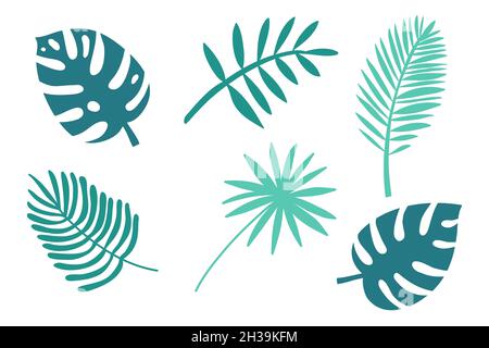 Palme Akazie monstera tropische Blätter gesetzt, grün türkis Farbe Vektor Illustration Stock Vektor