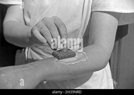 Gewinnung von Bienengift bei der Pharmafirma Mack in Illertissen, Deutschland 1930er Jahre. Extraktion von Bienengift bei Mack pharmceutical Unternehmen in Illertissen, Deutschland 1930. Stockfoto