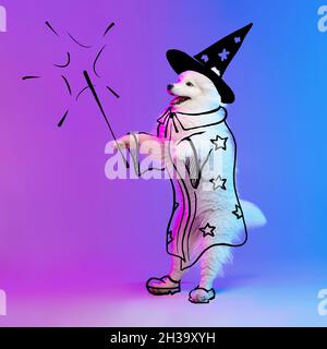 Zeitgenössische Kunstwerke. Ein netter witziger Hund wie Zauberer isoliert auf purpurem Studiohintergrund in Neon mit Zeichnungen. Stockfoto