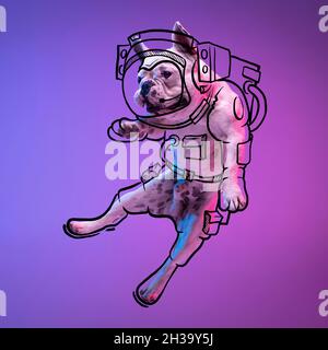 Moderne Kunstwerke. Ein süßer kleiner Hund, Bulldog fliegen, springen isoliert auf gradienten neonrosa blauen Studio-Hintergrund mit Zeichnungen. Stockfoto