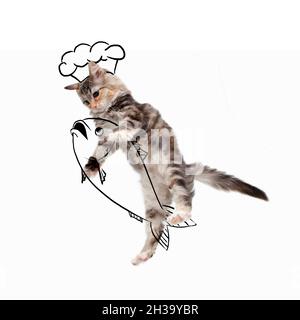 Zeitgenössische Kunstwerke. Eine niedliche Katze, Kätzchen springen und fangen gezeichneten Fisch isoliert auf weißem Studio Hintergrund mit Zeichnungen. Stockfoto