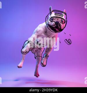 Zeitgenössische Kunstwerke. Ein süßer witziger Boxerhund am Boxring, isoliert auf purpurem Studiohintergrund in Neon mit Zeichnungen. Stockfoto