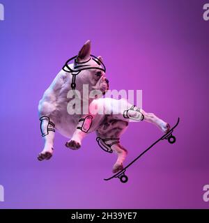 Zeitgenössische Kunstwerke. Ein netter witziger Hund wie cooler Skateboarder, isoliert auf purpurem Studiohintergrund in Neon mit Zeichnungen. Stockfoto