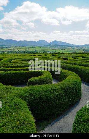 The Peace Maze in Castlewellan, Norhern, Irland. Mourne Mountains im Hintergrund Stockfoto