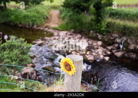 Ronan's Way Wanderwege in den Glen's of Antrim an der Antrim Coast neben Cushendun, Nordirland. Stockfoto