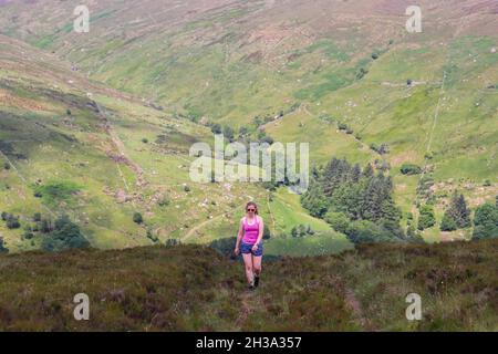 Ronan's Way Wanderwege in den Glen's of Antrim an der Antrim Coast neben Cushendun, Nordirland. Stockfoto