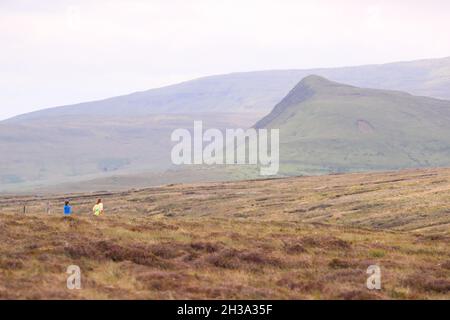 Ronan's Way Wanderwege in den Glen's of Antrim an der Antrim Coast neben Cushendun, Nordirland. Stockfoto