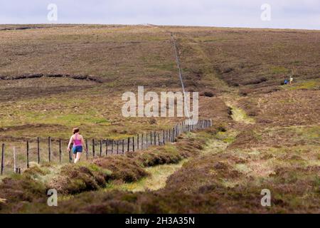 Ronan's Way Wanderwege in den Glen's of Antrim an der Antrim Coast neben Cushendun, Nordirland. Stockfoto