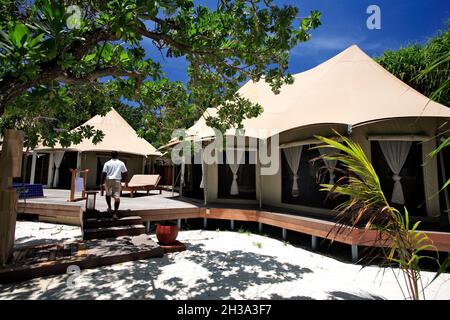 INSELGRUPPE DER MALEDIVEN. ARI-ATOLL. ANKUNFT AUF DER INSEL MADIVARU : PRIVATINSEL MIT LUXURIÖSER UNTERKUNFT IM ZELT UND PRIVATEM POOL (DURCH BAN VERWALTET Stockfoto