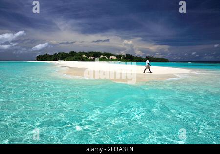 INSELGRUPPE DER MALEDIVEN. ARI-ATOLL. ANKUNFT AUF DER INSEL MADIVARU : PRIVATINSEL MIT LUXURIÖSER UNTERKUNFT IM ZELT UND PRIVATEM POOL (DURCH BAN VERWALTET Stockfoto