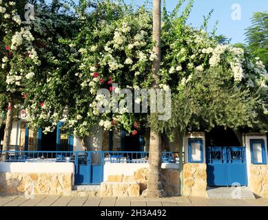 Ayia Napa, Zypern - 14. Oktober 2021: Eine typisch zypriotische Taverne erwartet die Gäste am Abend für traditionelle Küche Stockfoto