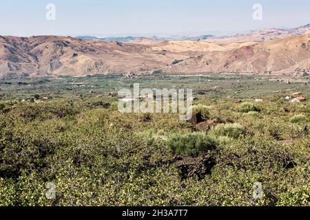 Blick über die Pistazien bei Bronte, Sizilien, Italien Stockfoto