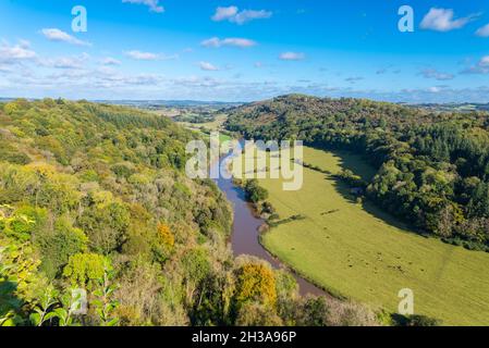 Blick auf den schlammigen und schmutzigen Fluss Wye in Herefordshire vom 120 Meter hohen symonds yat-Felsen Stockfoto