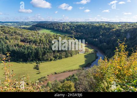 Blick auf den schlammigen und schmutzigen Fluss Wye in Herefordshire vom 120 Meter hohen symonds yat-Felsen Stockfoto