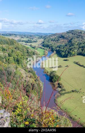 Blick auf den schlammigen und schmutzigen Fluss Wye in Herefordshire vom 120 Meter hohen symonds yat-Felsen Stockfoto