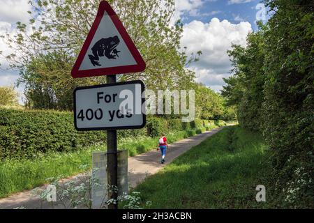 Warnzeichen von Kröten in Water Lane, Hagworthingham, Lincolnshire Wolds Stockfoto