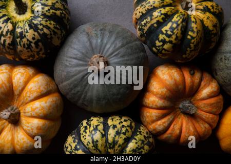 Eine Vielzahl von verschiedenen herbstlichen Kürbissen und Kürbissen auf dunklem Beton Stockfoto