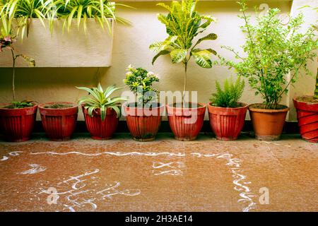 Blick auf die Töpfe mit Pflanzen in einem Garten Stockfoto