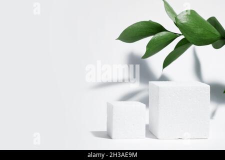 Weißer poröser Würfel, quadratisches Podium mit Blättern und Schatten auf weißgrauem Hintergrund. Konzeptszene, Schaufenster für ein neues Produkt, Präsentation, Verkauf, Stockfoto