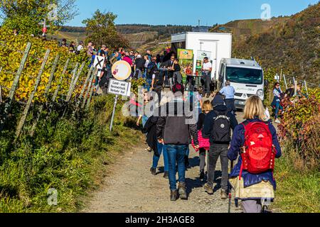 Die Weinregion an der Ahr lädt im Herbst zu Wanderungen in der Nähe von Rech, Deutschland, ein Stockfoto