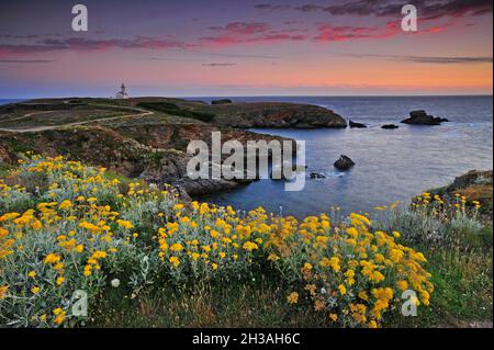 FRANKREICH. MORBIHAN (56) BRETAGNE. BELLE ILE ISLAND. FOHLENVORLAND (POINTE DES POULAINS) Stockfoto