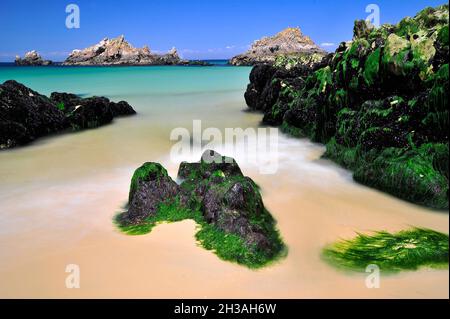 FRANKREICH. MORBIHAN (56) BRETAGNE. HOAUT INSEL. TAL ER HAH VORGEWENDE Stockfoto