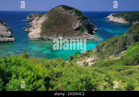 FRANKREICH. SÜDKORSIKA (2A) BUCHT VON FAZZIO Stockfoto